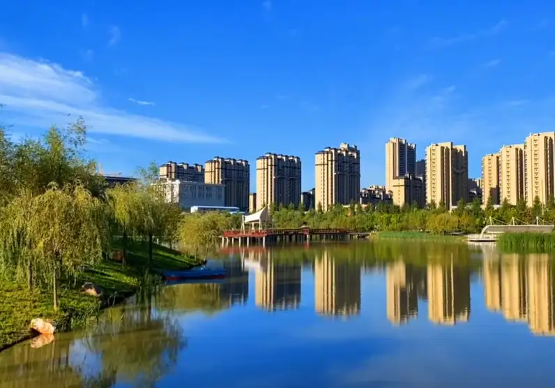 image.webp