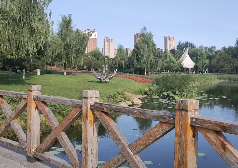 image.webp