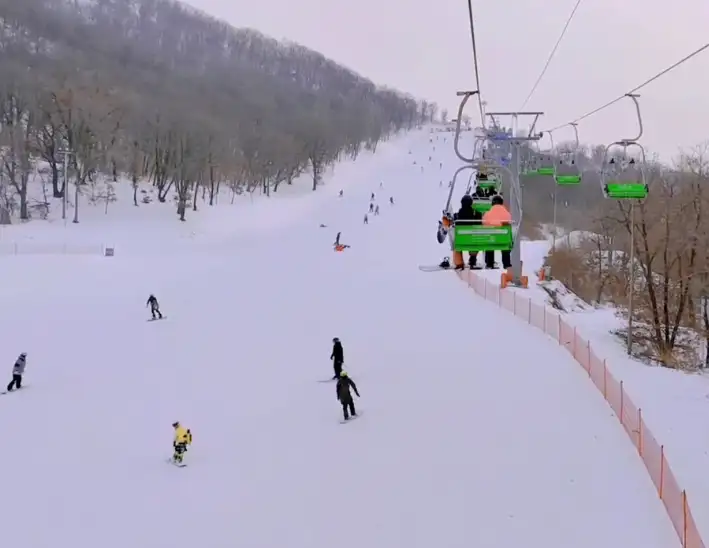 image.webp