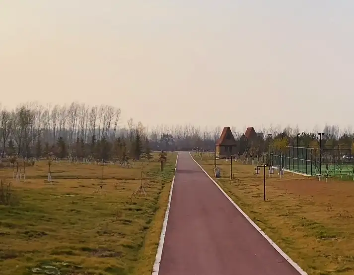 image.webp