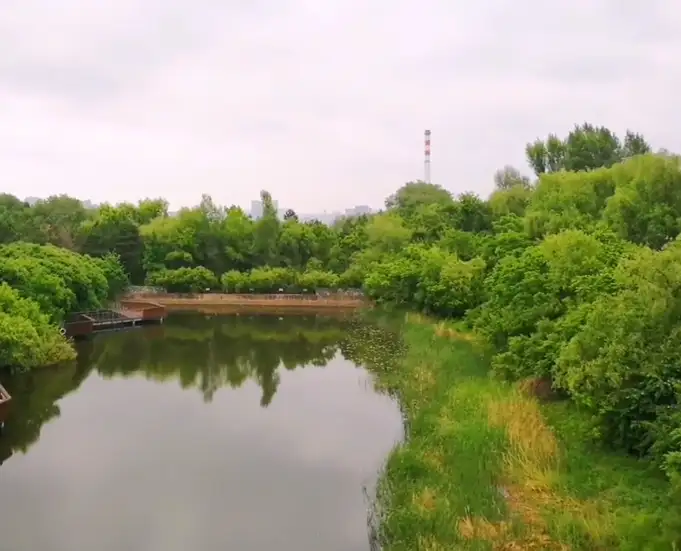 image.webp