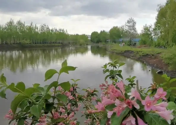 image.webp
