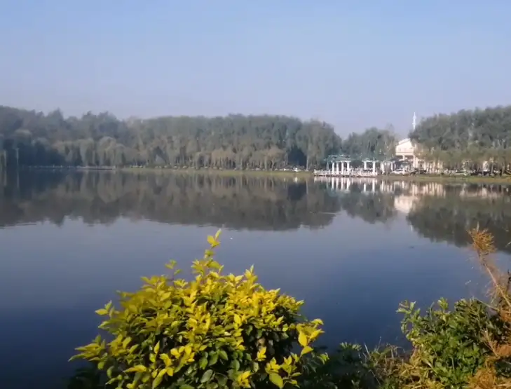 image.webp