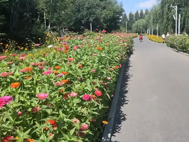 image.webp