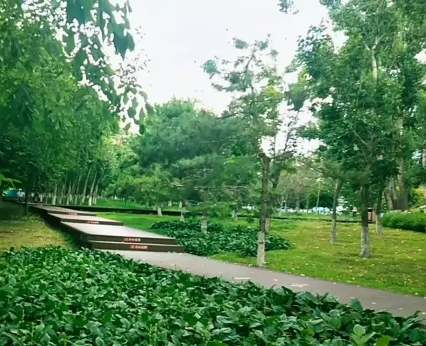image.webp