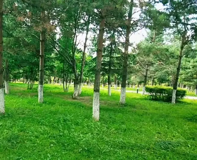 image.webp