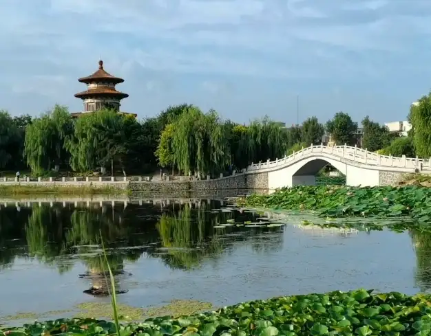 image.webp