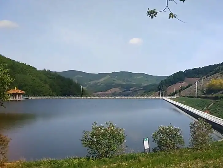 image.webp
