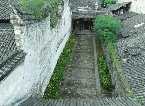 image.webp