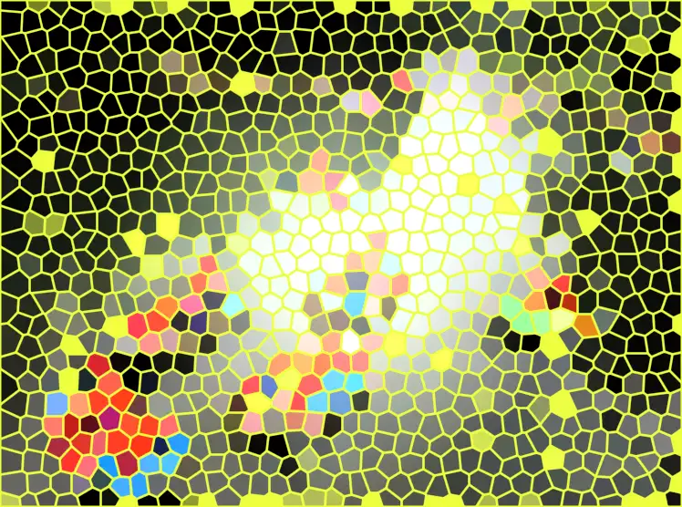 image.webp