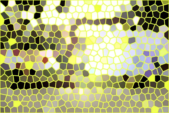 image.webp