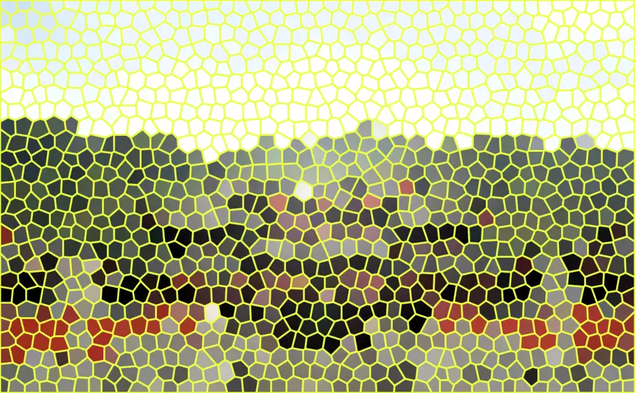 image.webp