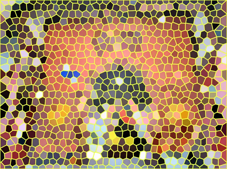 image.webp
