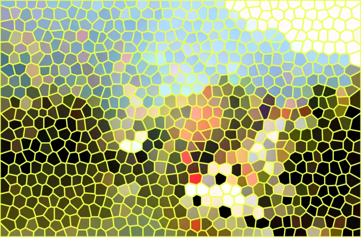 image.webp