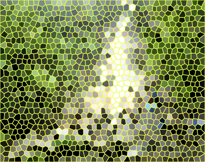 image.webp