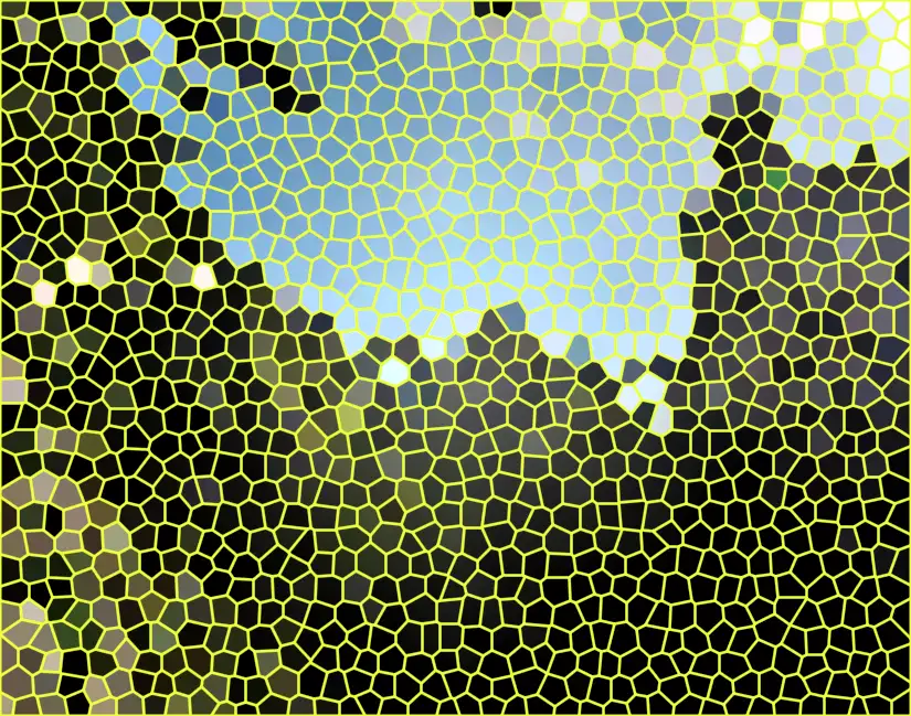 image.webp