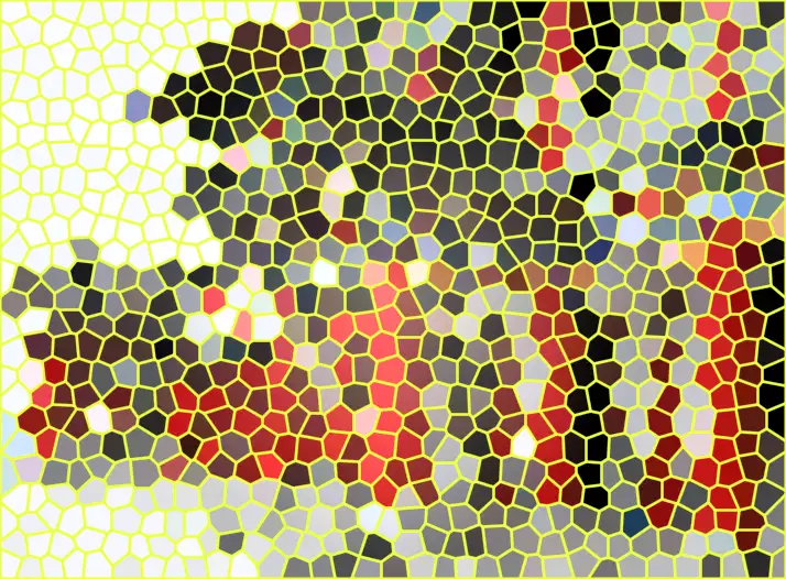 image.webp