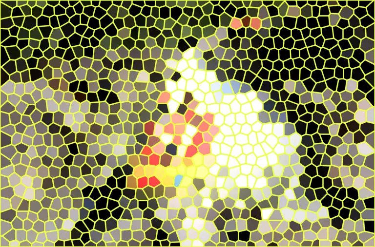 image.webp