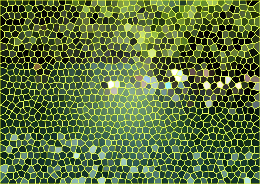 image.webp