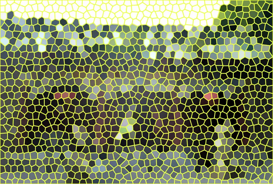 image.webp