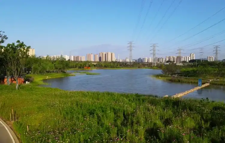 image.webp