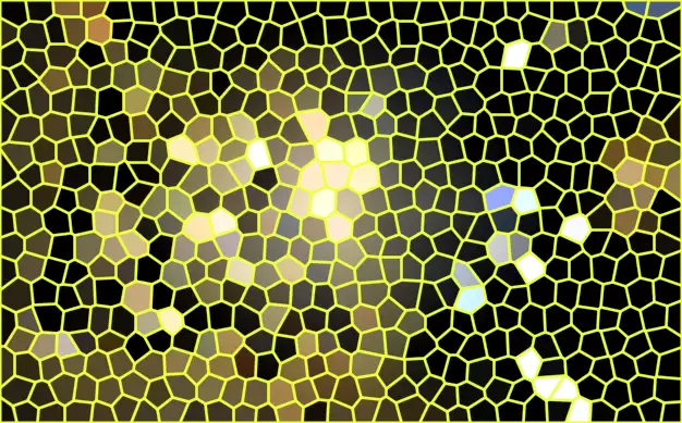 image.webp