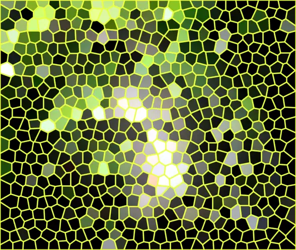 image.webp