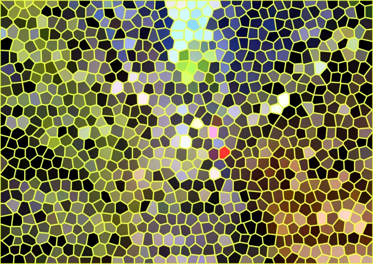image.webp