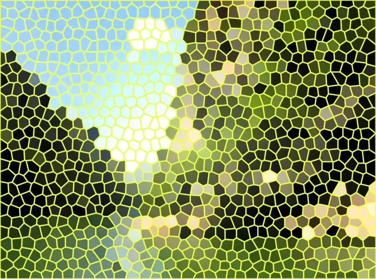 image.webp