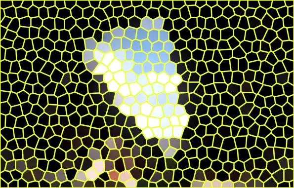 image.webp
