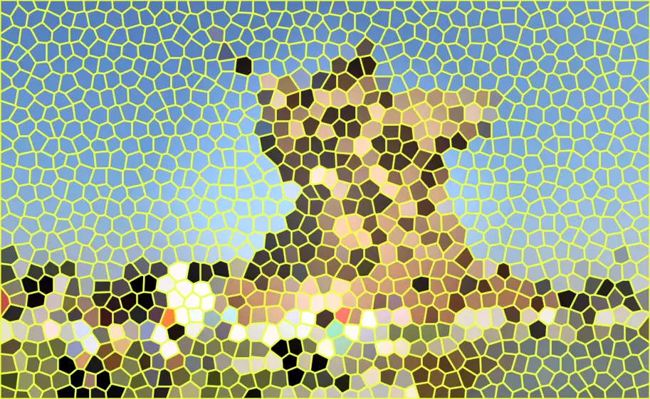 image.webp