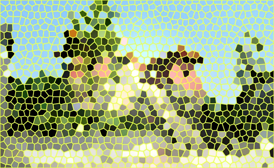 image.webp