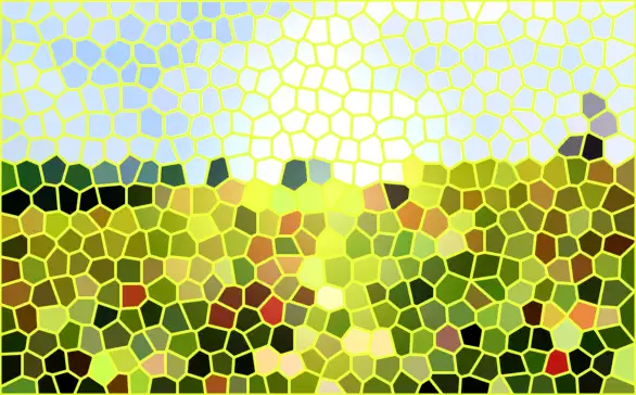 image.webp