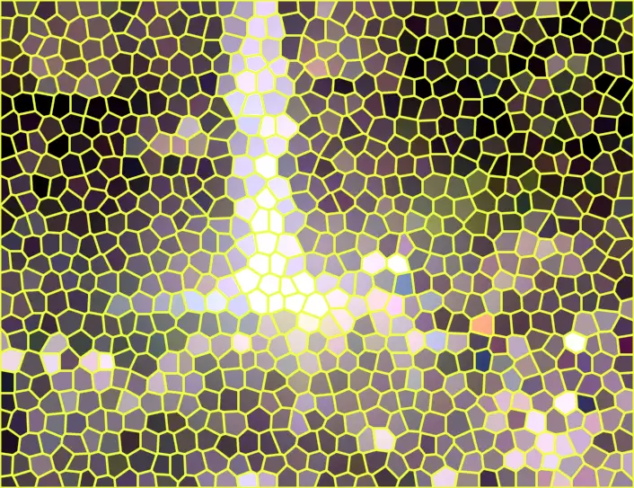 image.webp