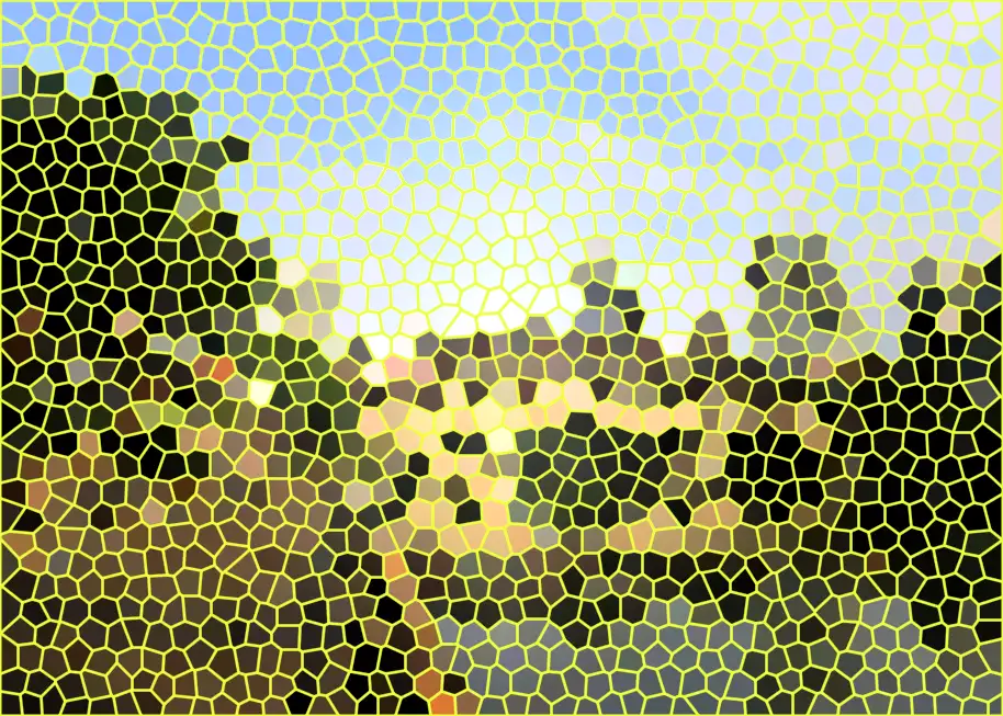 image.webp