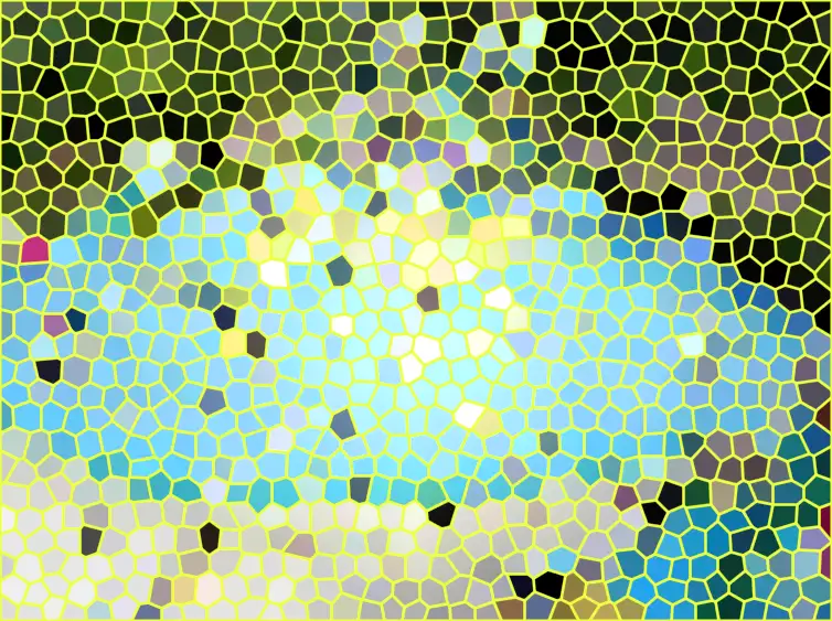 image.webp