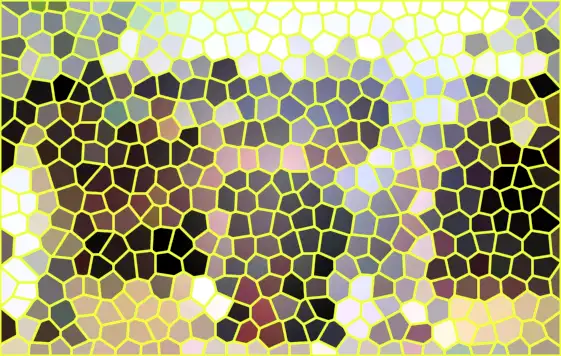 image.webp
