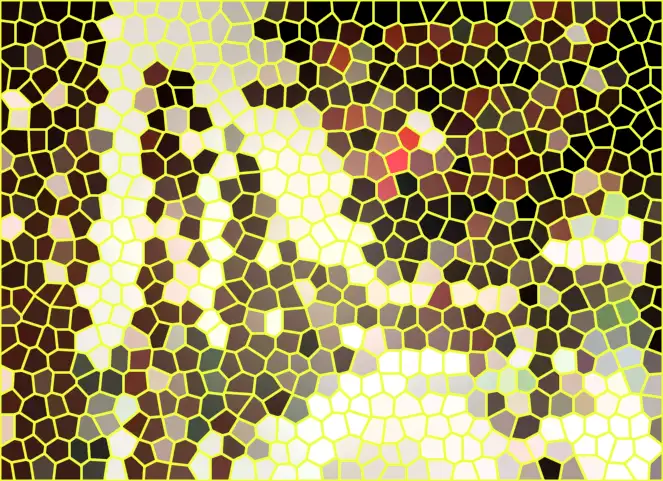 image.webp