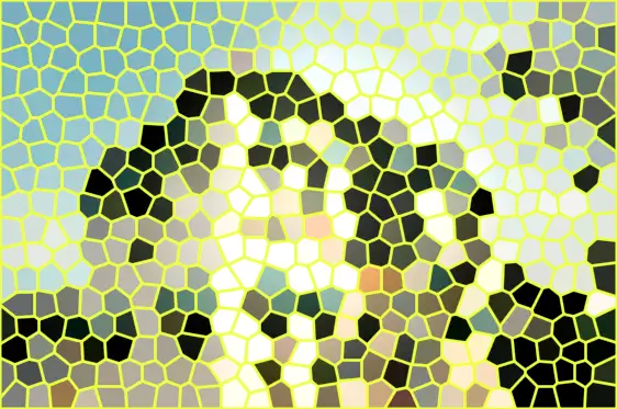 image.webp