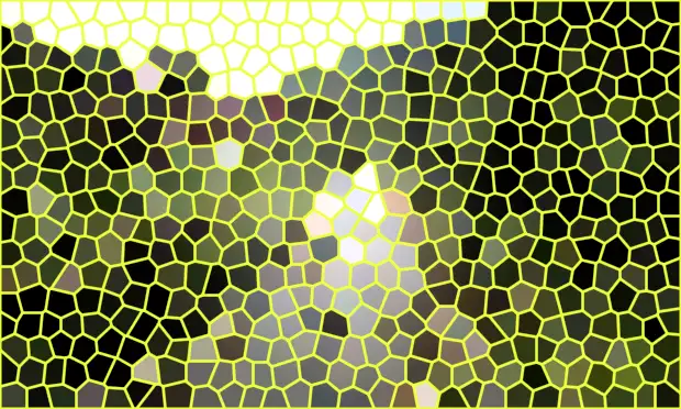 image.webp