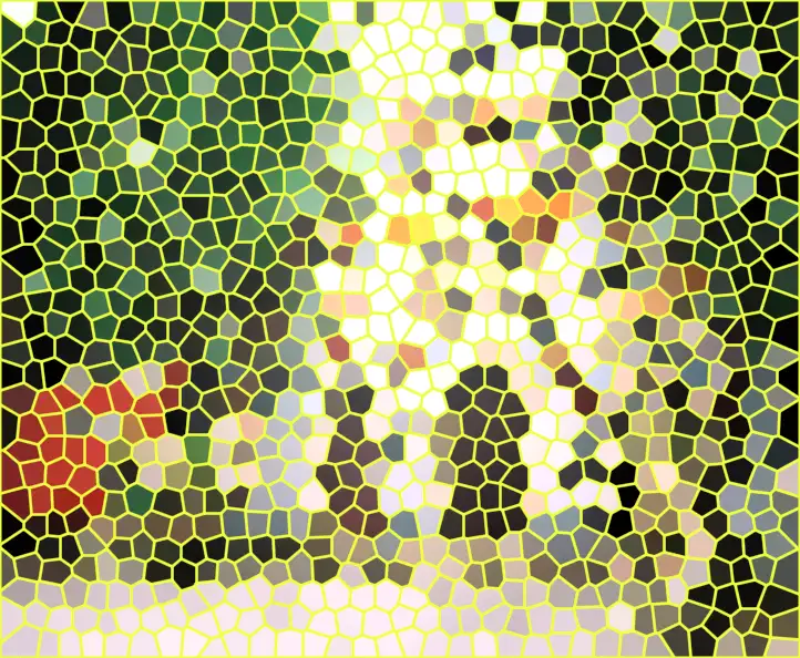 image.webp