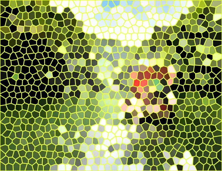 image.webp