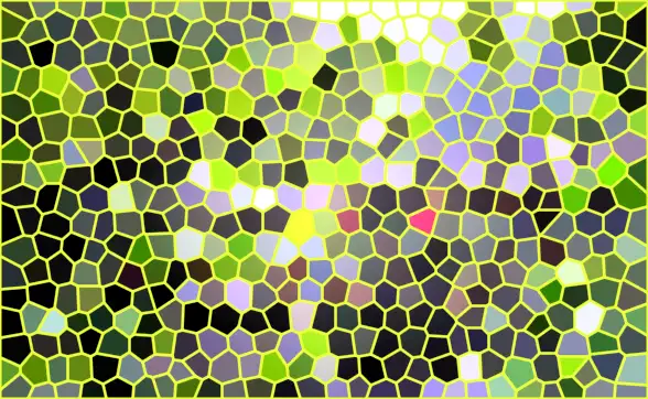 image.webp