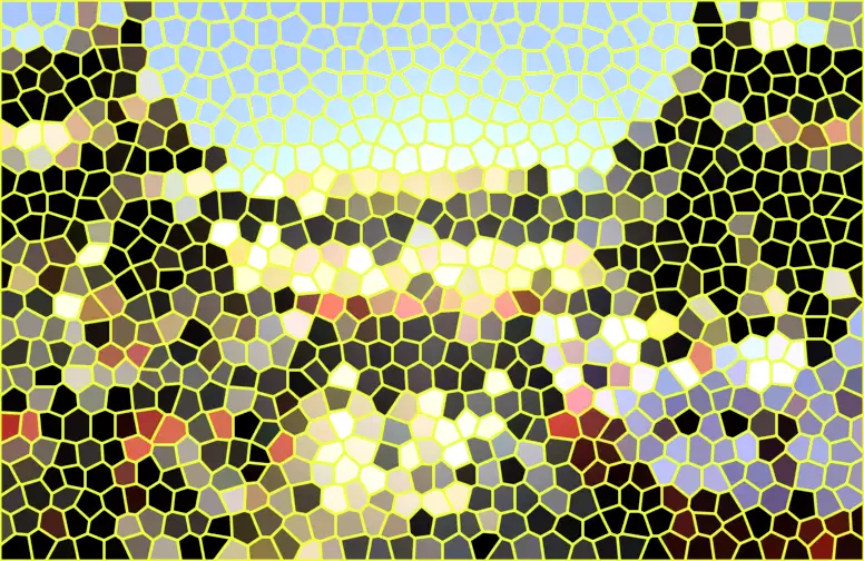 image.webp