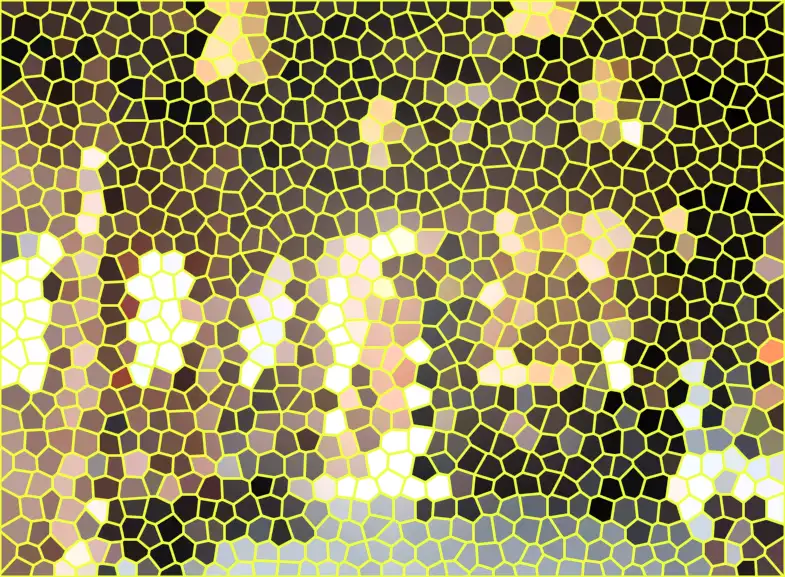 image.webp
