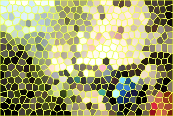 image.webp