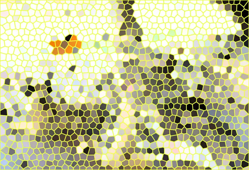 image.webp