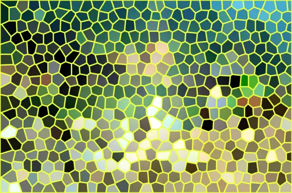 image.webp