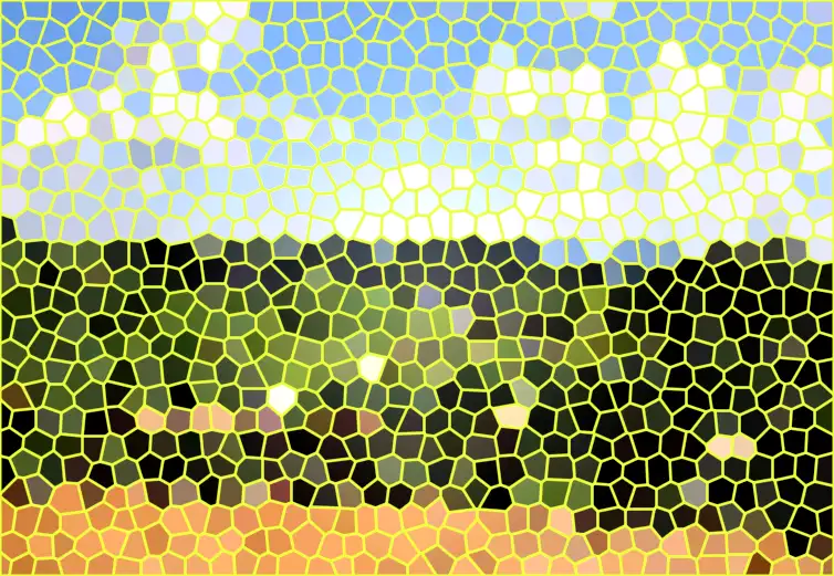 image.webp