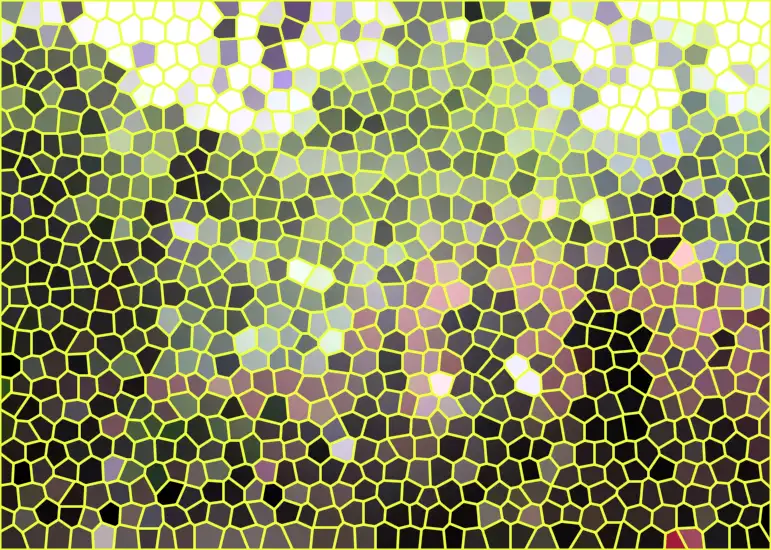 image.webp
